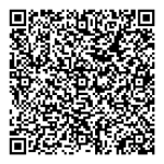 QR Code 5